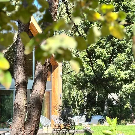 Meet Trees *