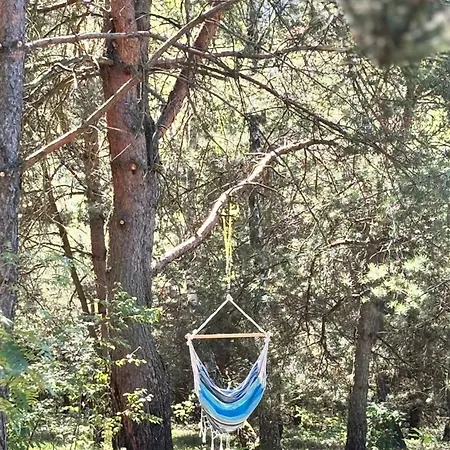 Meet Trees بيت للعطل *